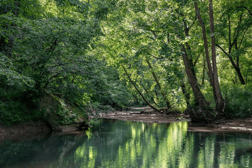 Kentucky Jackson County River's Edge 6.14-acre lot 29 by KY_Wayne_Riverbend_32, scenic land with riverfront views.