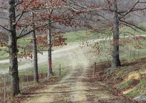 Aerial view of Kentucky Laurel County Serenity Creek Lot 9, a 10.05-acre rural land parcel with trees and creek frontage.