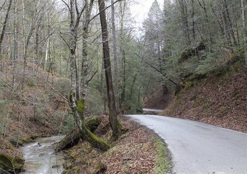 Kentucky Leslie County Autumn Ridge 11.95-acre lot, natural landscape with trees and open land, part of KY_Leslie_AutumnRidge910.