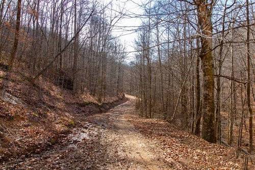 Blackstone Mountain 19.06-acre lot in Clay County, Kentucky, by KY Wayne Blackstone II, showing wooded terrain and mountain views.