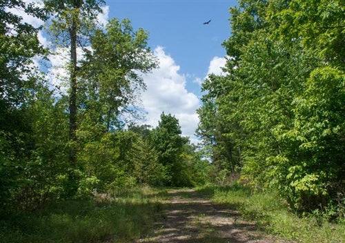 Aerial view of Kentucky Wayne County Riverbend lot 26, 4.33-acre riverfront property with trees and open land on a clear day.