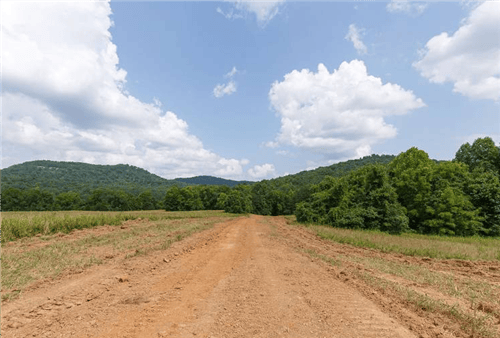 Aerial view of Kentucky Wayne County 8.44-acre rolling hills land lot, showcasing scenic landscape and open terrain.