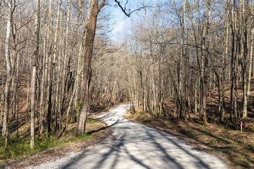 15.03-acre woodland lot in Wayne County Kentucky, Woodland Heights with creek, Lot 09, by KY_Woodland_Heights_03.