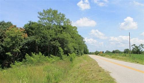 10.89-acre Cumberland Ridge Ranch land in Cumberland County, Kentucky with creek view, offered by Onlinelandsales.