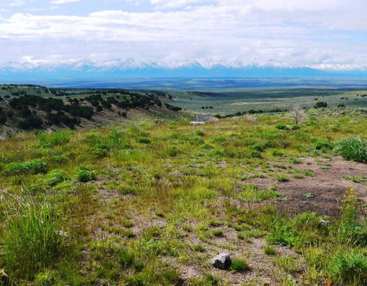 Nevada, Elko County, 10.06 Acres Last Chance Ranch, Unit 2, Rancho 8, SW 1/4. SPECIAL 8% TERMS $501/Month