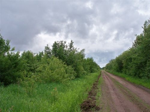 Minnesota, Koochiching County, 20 Acres. TERMS $179/Month