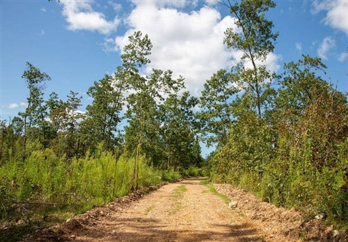 15% OFF: Missouri, Shannon County, 12.70 Acre Borgmann’s Hollow Phase II, Lot 50. TERMS $255/Month