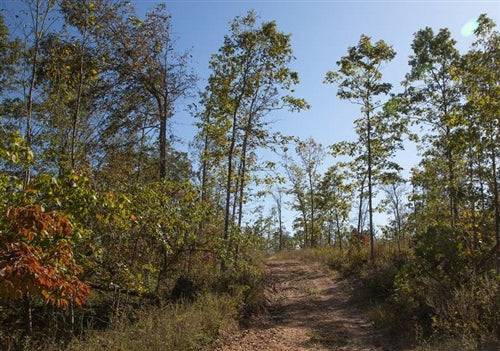 Aerial view of Missouri Borgmann’s Hollow Phase IV, Lot 106, showing wooded 10.32-acre property in Shannon County.