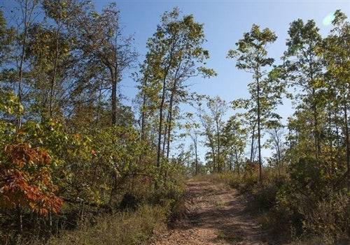 Aerial view of Missouri Borgmann’s Hollow Phase IV, Lot 118, showing 5.37-acre lot in Shannon County with wooded and open land.