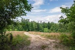 Aerial view of Missouri Reynolds County Cypress Ridge Lot 16 showing 6.84-acre wooded land with electricity access.