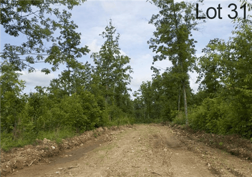 Aerial view of Missouri Thunder Mountain Ranch lot 31 in Shannon County, showing lush land and scenic mountain terrain.