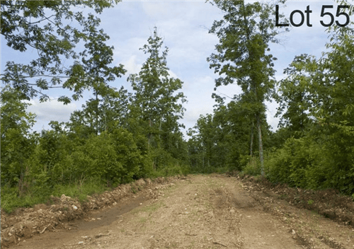 Missouri Thunder Mountain Ranch Lot 55 in Shannon County, 8.72-acre property with scenic mountain views and wooded terrain.