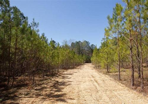 Aerial view of 5.04-acre Southern Hills lot in Tishomingo County, Mississippi, showcasing rolling terrain and surrounding natural landscape.