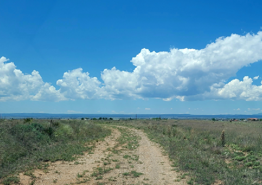 New Mexico, Torrance County, 3.75 Acre Moriarity Heights Unit 3, Block 9, Lot 27, Electricity. Special 8% TERMS $450/Month