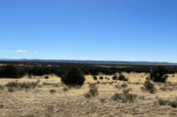 Aerial view of 40-acre land parcel in Catron County, New Mexico, with surrounding natural landscape and property boundaries.