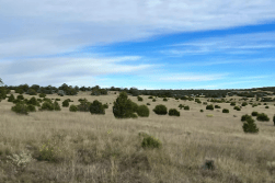 New Mexico, Catron County, 24.87 Acres Horseshoe Trails  Lot 13.   TERMS $674/Month