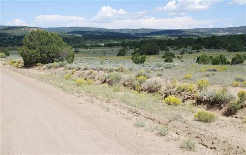Aerial view of 20-acre wild horse ranch lot in Catron County, New Mexico, with open land and natural landscape.