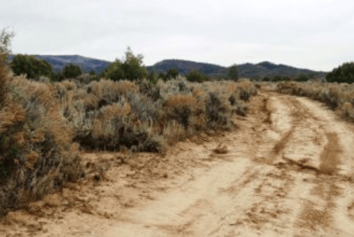 Aerial view of Lot 5 Chama River Estates in Rio Arriba County, New Mexico, showing undeveloped 0.60-acre land near the Chama River.