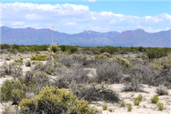 10-acre Deming ranch land in Luna County, New Mexico, section 1, with clear terrain and boundary details.