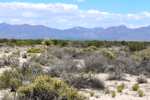 New Mexico Luna County Deming Ranchettes lot 37, block 33, 0.50 acres, with visible land boundaries and surrounding landscape.