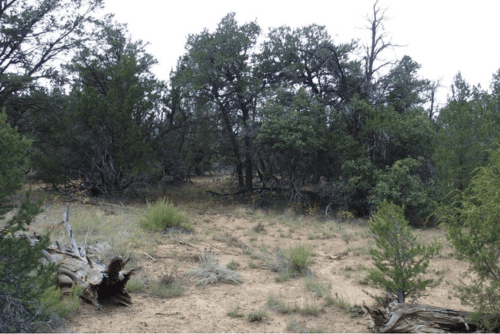 Aerial view of 5-acre Garfield Lot 7, Block 3 in Cibola County, New Mexico, showing open land and surrounding terrain.