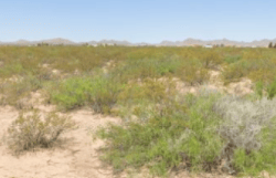 Two adjoining New Mexico Road Runner Heights lots in Luna County, 0.68 acres, shown from the road, with surrounding land and clear skies.