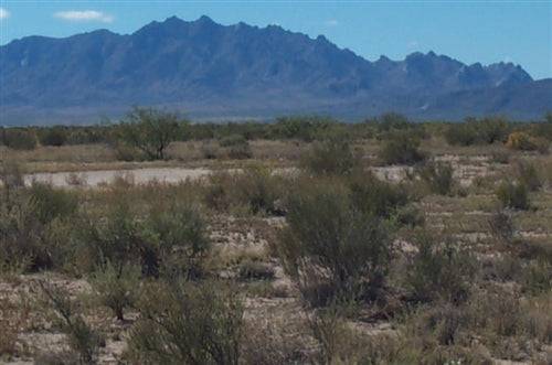 10-acre Sundance Ranches Lot 28 in Luna County, New Mexico, with open land and natural desert landscape.