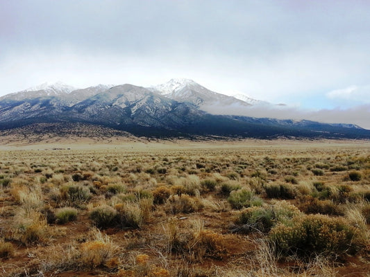 10-acre rural land in Alamosa County, Colorado, southwest quarter with natural landscape, offered by Onlinelandsales