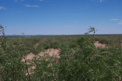 20-acre land parcel in Luna County near Columbus, New Mexico, showing detailed map from Onlinelandsales.