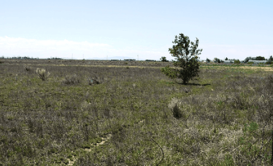 Aerial view of 17.01-acre Torrance County, New Mexico, north of Estancia, showing open land parcel with sparse vegetation.