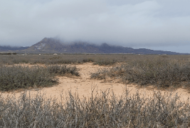 Aerial view of 11.88-acre Pancho Villa Ranches Lot 237 in Luna County, New Mexico, showcasing desert landscape and open land.