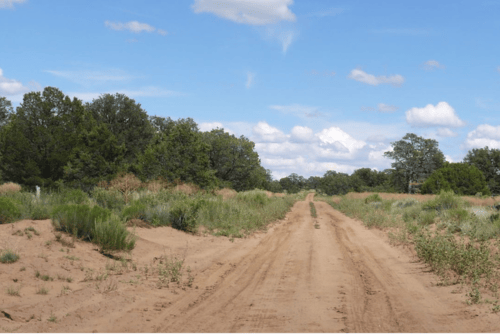 Aerial view of Pine Meadows Lot 297 in Cibola County, New Mexico, showing 2.50 acres of undeveloped land with trees and open space