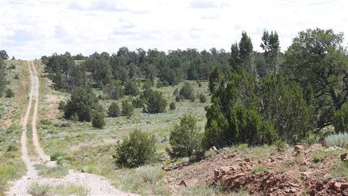Aerial view of Pine Meadows lot 650 in Cibola County, New Mexico, showing undeveloped 2.53-acre land with surrounding natural landscape.