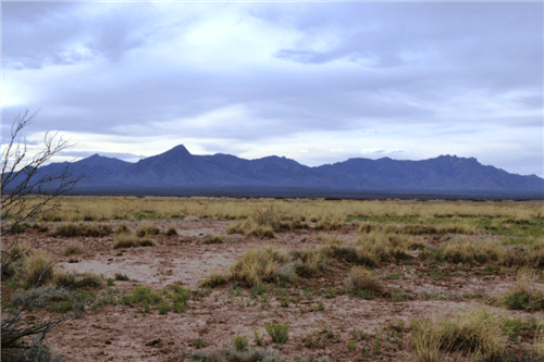 Aerial view of Sunshine Valley Ranchettes lot 21 in Luna County, New Mexico, showing 0.5-acre parcel in a rural area.