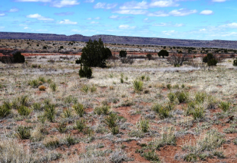 New Mexico, San Miguel County, 5.18  Acres Rancho Lake Conchas Unit 2, Block 25, Lot 19.  TERMS $235/Month