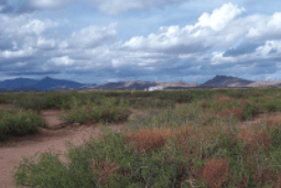Southwestern homesites lot 37-38 in Luna County, New Mexico with scenic desert views, offered by Onlinelandsales.