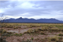 Aerial view of a .50 acre lot in Sunshine Valley Ranchettes, Luna County, New Mexico, showing surrounding parcels and open land.