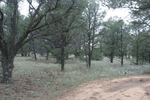 Aerial view of 5.08-acre Tierra Verde lot in Cibola County, New Mexico, showing land boundaries and surrounding terrain.