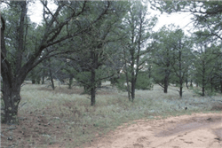 Aerial view of Tierra Verde Lot 90, Unit 6 in Cibola County, New Mexico, showing undeveloped 5-acre land parcel.