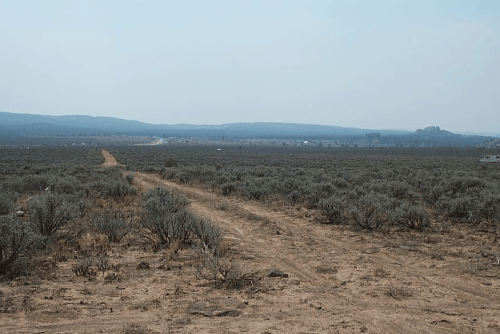 A mountain lot in Tres Piedras, Taos County, New Mexico, with trees and open land, offered by Onlinelandsales.