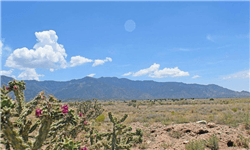 Aerial view of Valencia County, New Mexico, 0.25-acre Rio Del Oro lot 9, block 55, showing land boundaries and surrounding area.