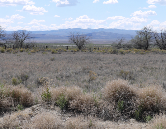 Nevada, Pershing County, 1.81 Acres Humboldt River Ranch Lot 261. (POWER) TERMS $200/Month