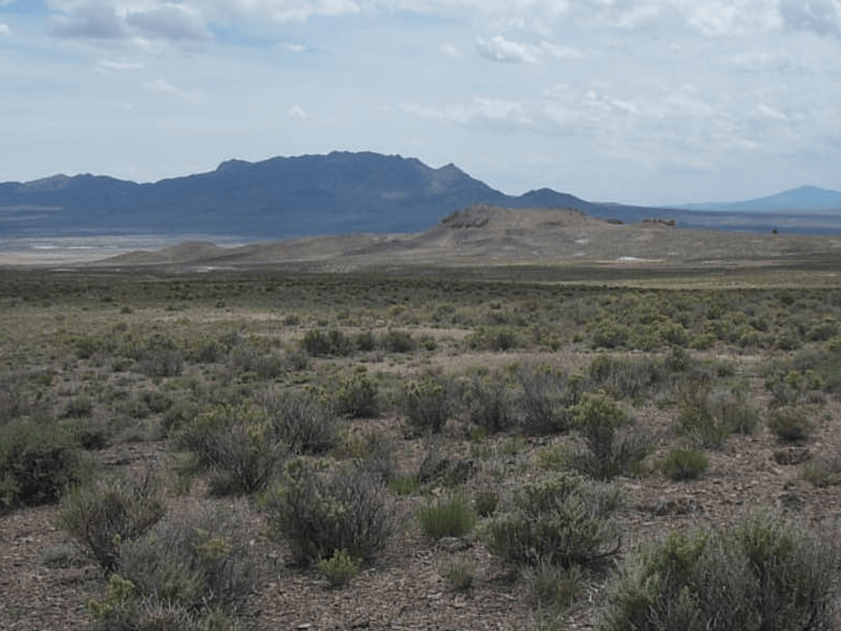 40-acre mountain meadow ranch in Elko County, Nevada, Lot 1248, with scenic views and natural landscape features.