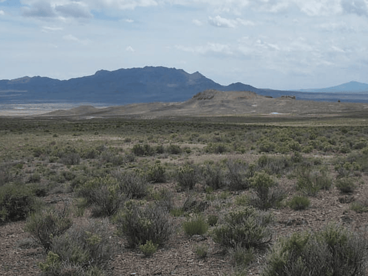 40-acre mountain meadow ranch in Elko County, Nevada, Lot 1248, with scenic views and natural landscape features.
