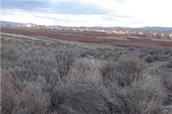 Aerial view of Nevada Elko County Last Chance Ranch, 39.20-acre lot in Unit 3, Block V, with visible land and surroundings.