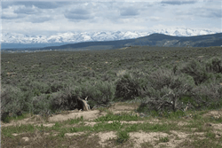 Aerial view of Nevada Elko County Twin River Ranchos Lots 06 and 08, 4.3-acre land parcels in Onlinelandsales bundle.