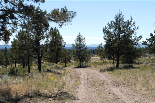 Aerial view of Oregon Klamath County Forest Estates Lot 29, a 1.94-acre wooded land parcel in Klamath Falls.