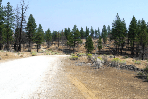 Aerial view of Oregon Klamath Forest Estates Lot 2, 2.63-acre wooded land in Klamath County with trees and natural landscape.