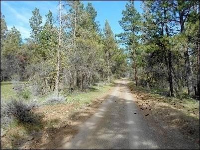 Aerial view of 2.56-acre forest estate in Klamath Falls, Oregon, with trees and natural landscape in Klamath County.