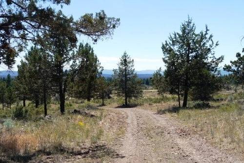 Aerial view of Oregon Klamath County Forest Estates Lot 38 in Klamath Falls, showing wooded land and surrounding natural landscape.